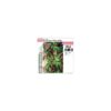 Lechuga - Imagen 16