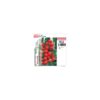 Tomate - Imagen 13