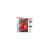 Tomate - Imagen 15