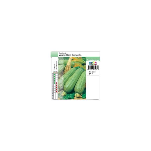 calabacin-verde-claro-genoves