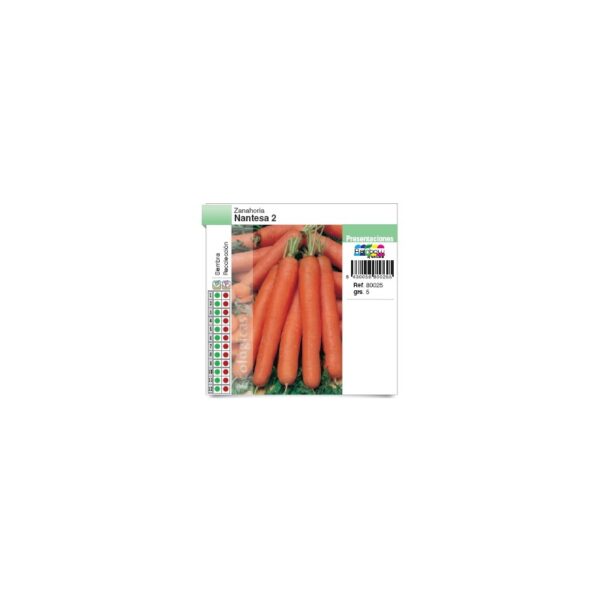 zanahoria-nantesa-2