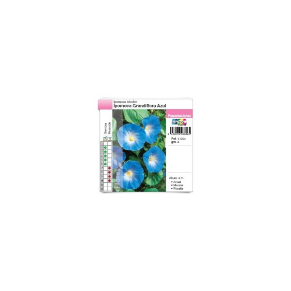 ipomoea-grandiflora-azul