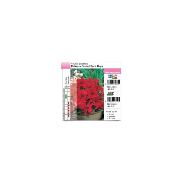 petunia-grandiflora-roja