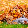 Servicio Integral de Mantenimiento de Jardines y Piscinas - Imagen 2