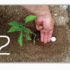 ASIR HORTO - Micorrizas y Trichodermas  (Apto Grow) - Imagen 2