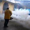 Servicio Integral de FUMIGACIÓN Pisos / Locales / Casas / Almacenes - Imagen 4